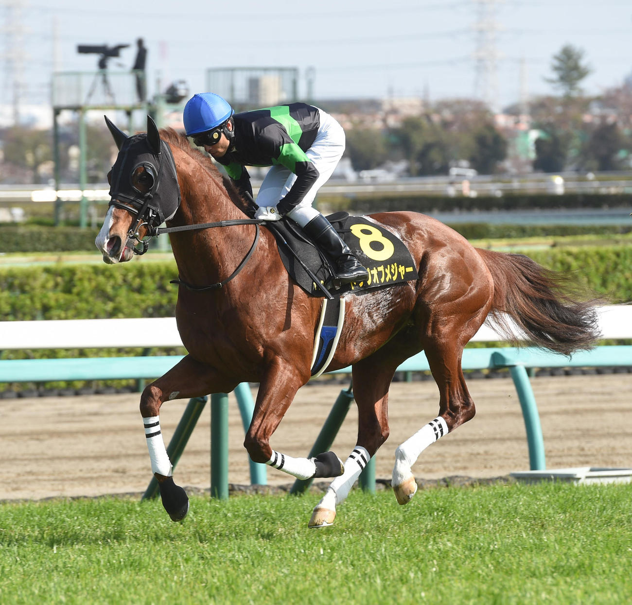 トップオブメジャー（2022年4月10日撮影）