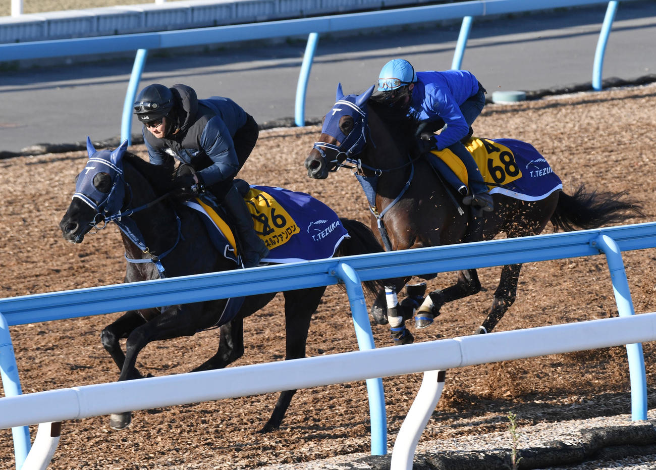 ビュイック騎手を背にキングズレイン（右）はマイネルファンロンと併せて追い切る（撮影・柴田隆二）