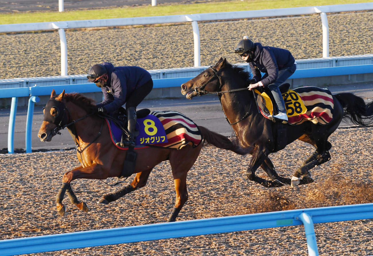 ジオグリフ（左）はレッドヴェロシティと併せて追い切る（撮影・柴田隆二）