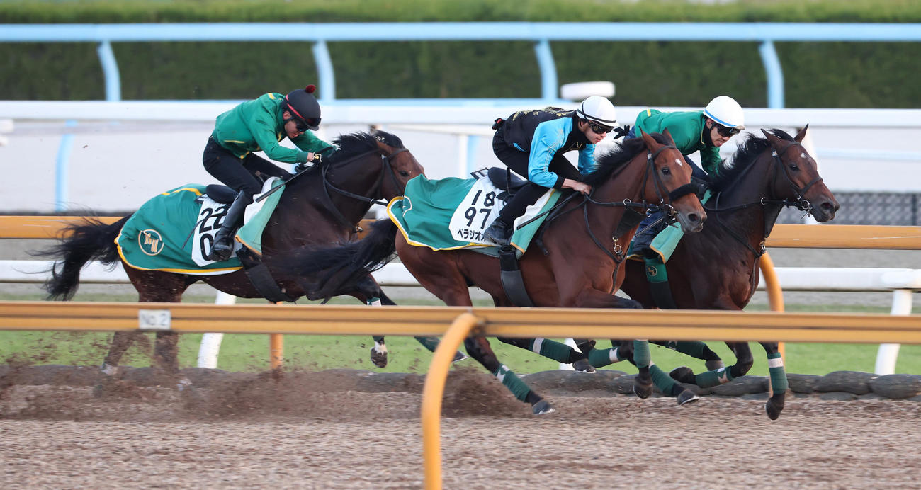 横山和生騎手を背にCウッドにて3頭併せで追い切るベラジオオペラ（中央）