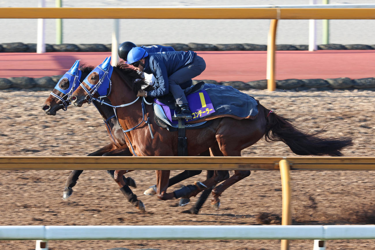 モレイラ騎手が騎乗し、Cウッド併せ馬で時計を出したアイコンテーラー（右）