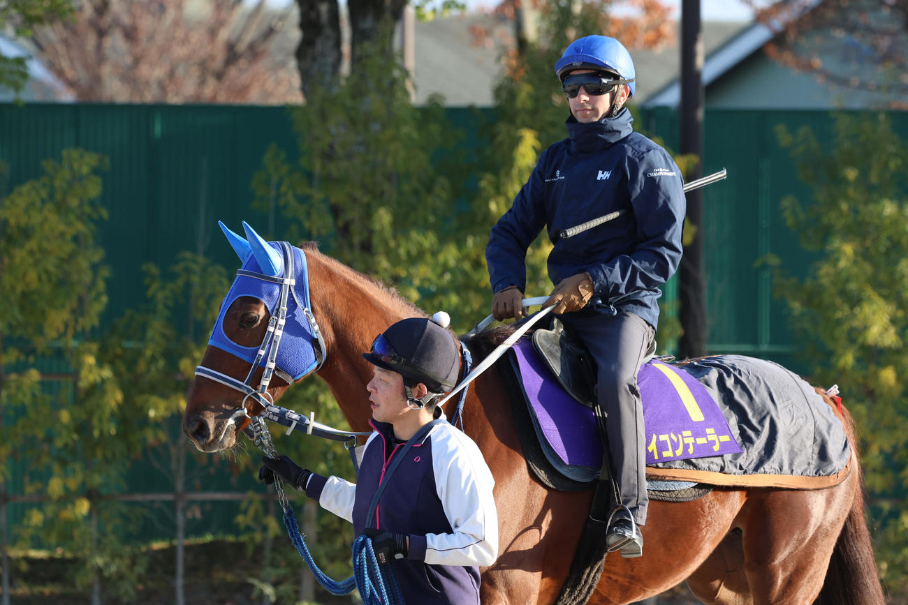 モレイラ騎手が騎乗し、馬場入りするアイコンテーラー