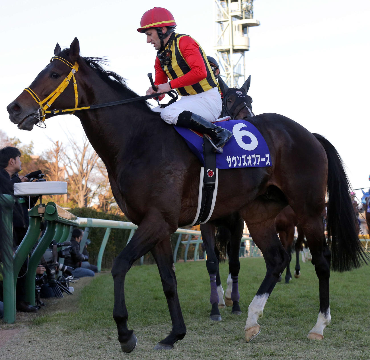16年有馬記念で8着に終わったサウンズオブアース