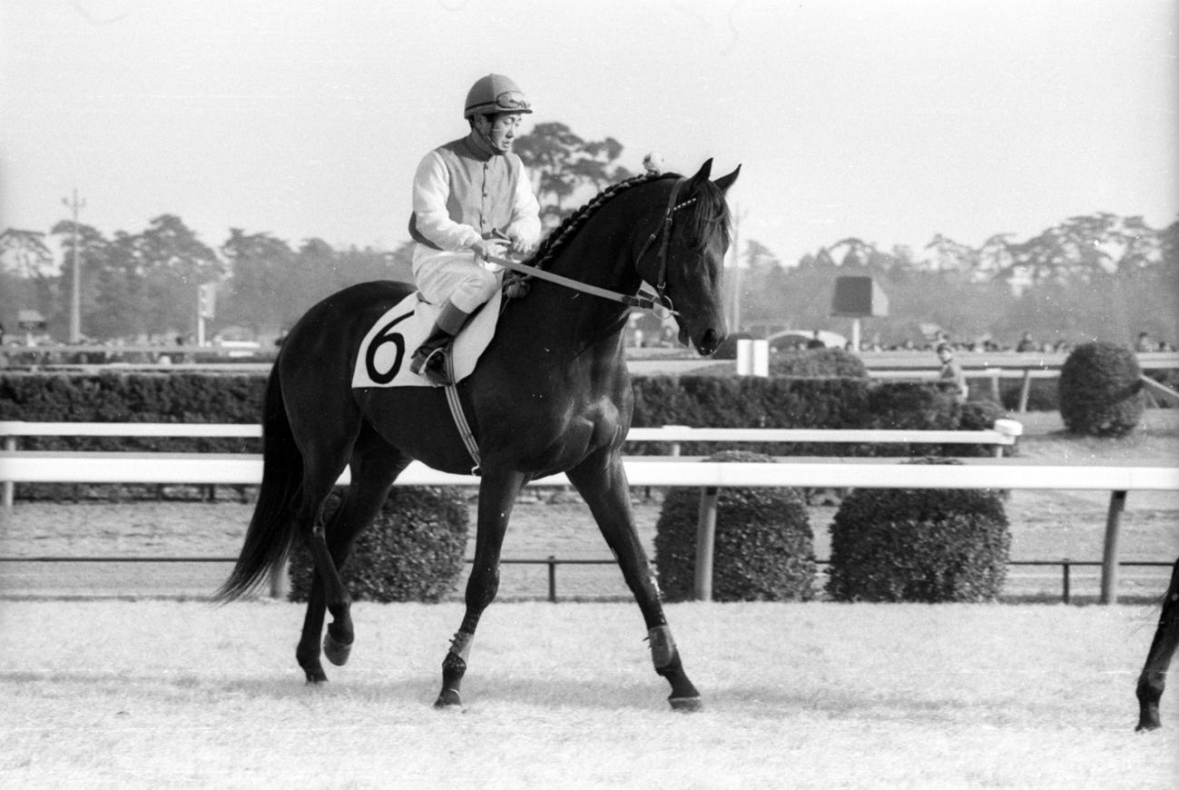 76年朝日杯3歳Sで2着に13馬身差をつけ圧勝したマルゼンスキーと中野渡清騎手