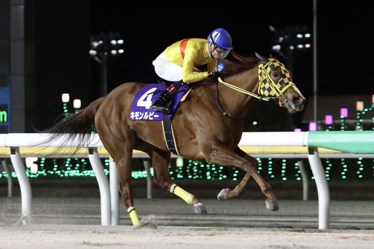 逃げ切りで船橋記念を制したキモンルビーと御神本訓史騎手