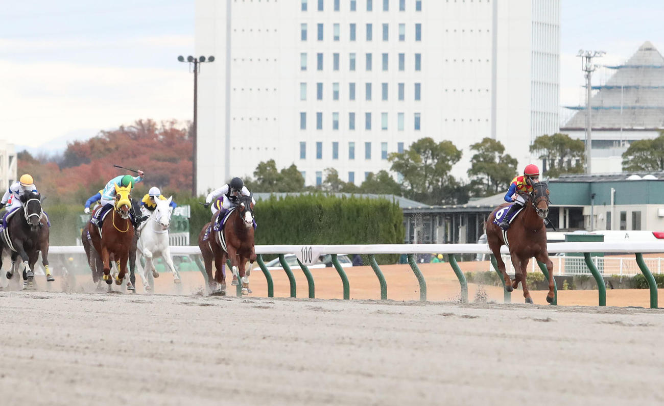21年12月、2着馬を6馬身突き放しチャンピオンズCを制したテーオーケインズ（右）