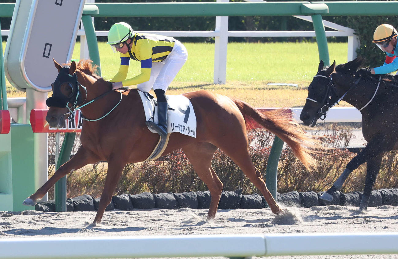 牝馬限定の2歳未勝利戦を制したリーチユアドリームとビュイック騎手（撮影・丹羽敏通）