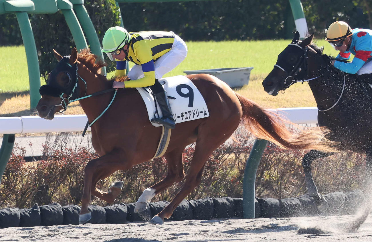 牝馬限定の2歳未勝利戦を制したリーチユアドリームとビュイック騎手（撮影・丹羽敏通）