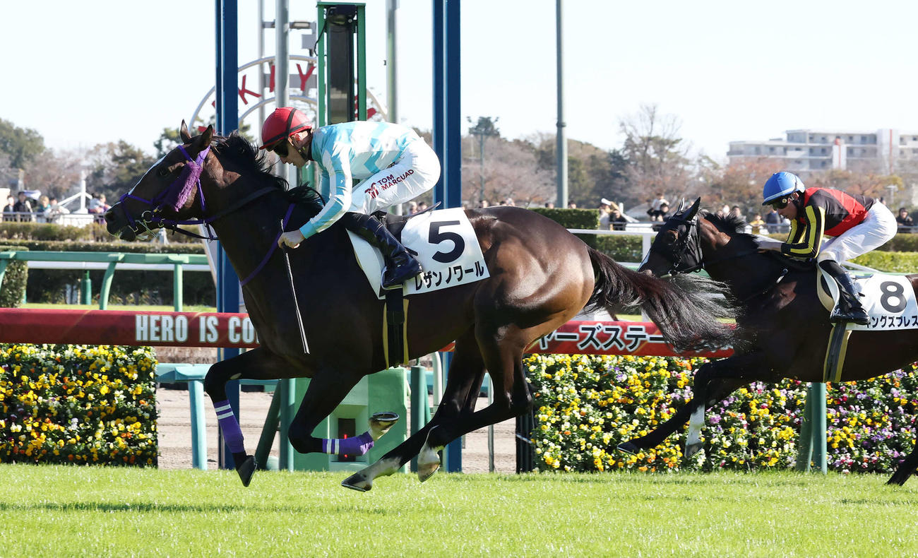 中山5R新馬戦を制したレザンノワールとマーカンド騎手（撮影・丹羽敏通）