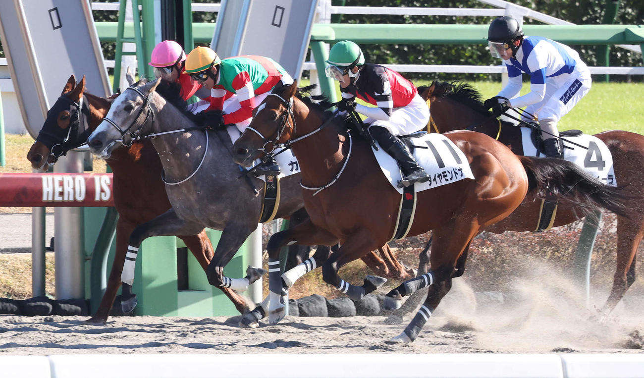 中山6R新馬戦を制したダイヤモンドナイツと丹内騎手（手前）（撮影・丹羽敏通）