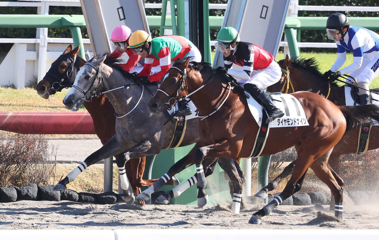 中山6R新馬戦を制したダイヤモンドナイツと丹内騎手（手前）（撮影・丹羽敏通）