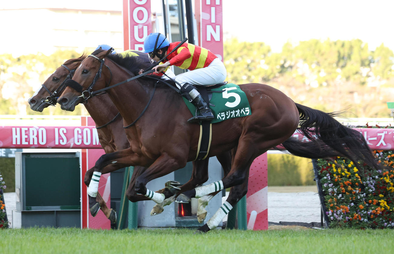 ボッケリーニ（左）との接戦を制してチャレンジCを勝利したベラジオオペラ（撮影・白石智彦）