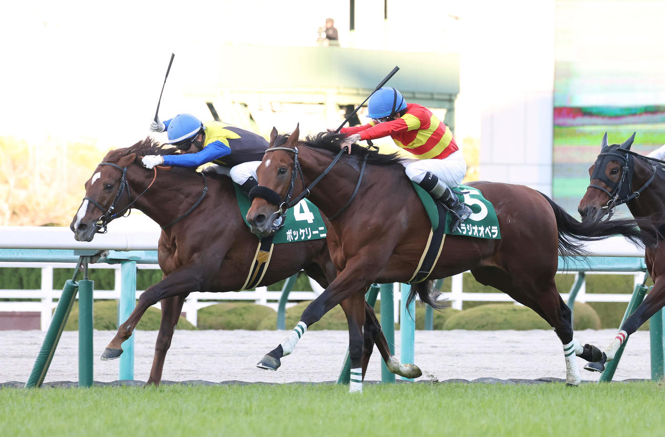 阪神11R、ボッケリーニ（左）との接戦を制してチャレンジCを勝利したベラジオオペラ