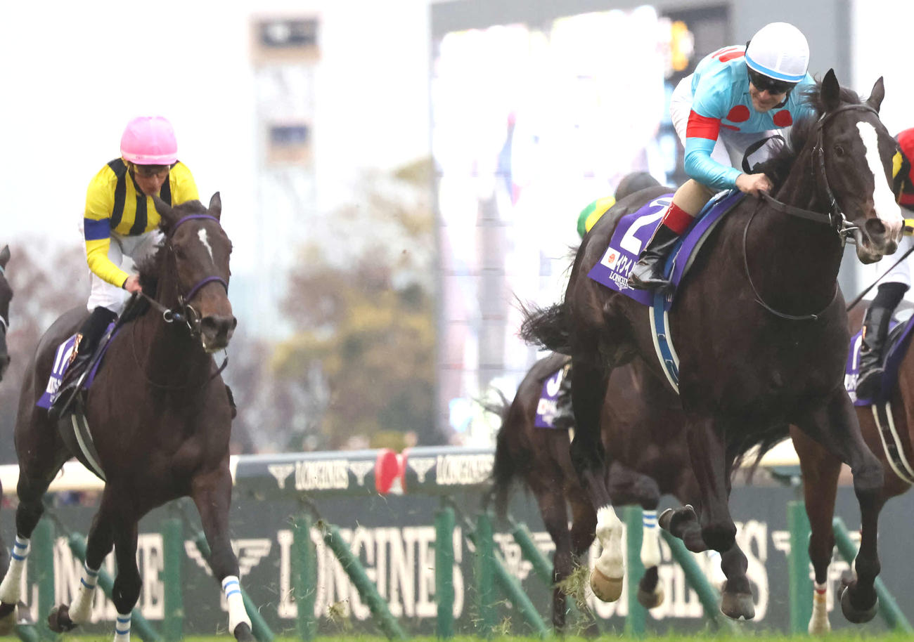 ジャパンC3着のスターズオンアース（左）。右は勝ったイクイノックス
