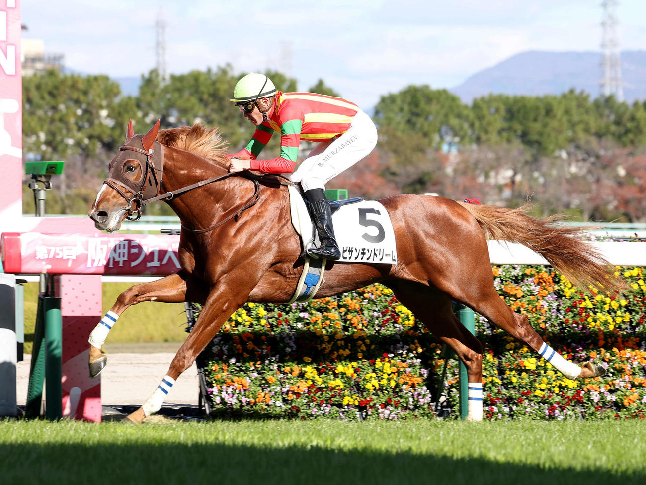 阪神5R、直線鋭く伸びて新馬戦を制したビザンチンドリーム（撮影・白石智彦）
