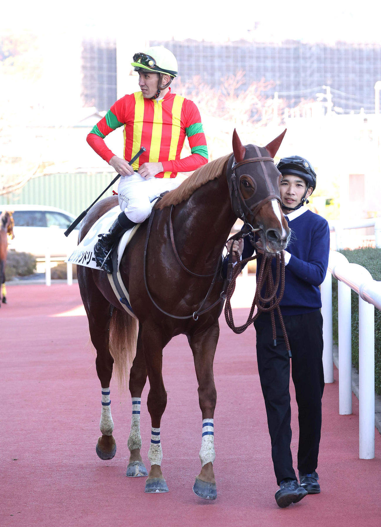 阪神5R、新馬戦を制したビザンチンドリーム（撮影・白石智彦）