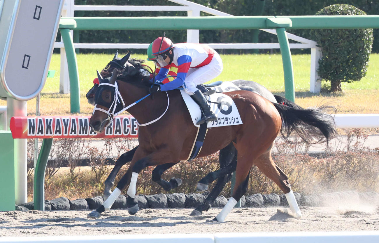 中山4R新馬戦を制したグラスブランシュ（手前）と大野騎手（撮影・丹羽敏通）