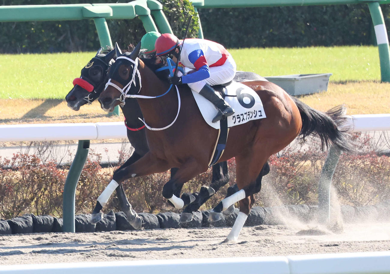 中山4R新馬戦を制したグラスブランシュ（手前）と大野騎手（撮影・丹羽敏通）