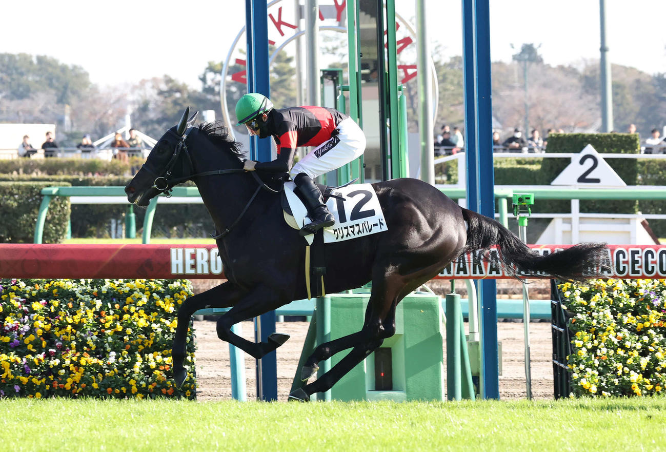 中山5R、2歳新馬戦を制したクリスマスパレードと石川騎手（撮影・丹羽敏通）
