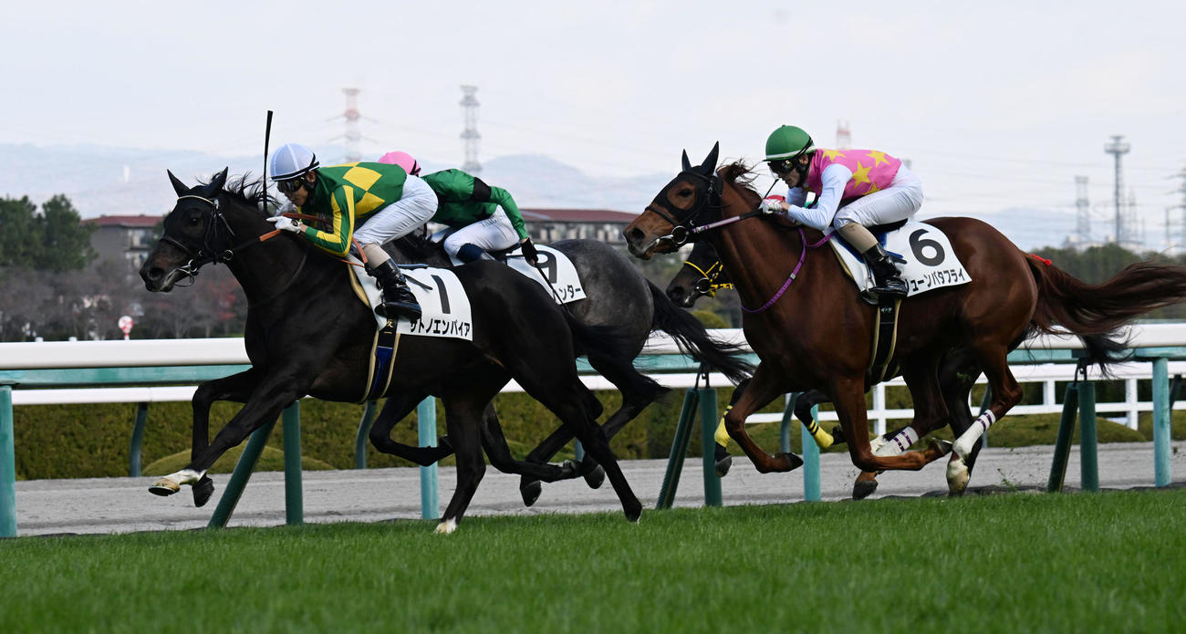 阪神5R新馬戦を制したサトノエンパイア（左）（撮影・和賀正仁）
