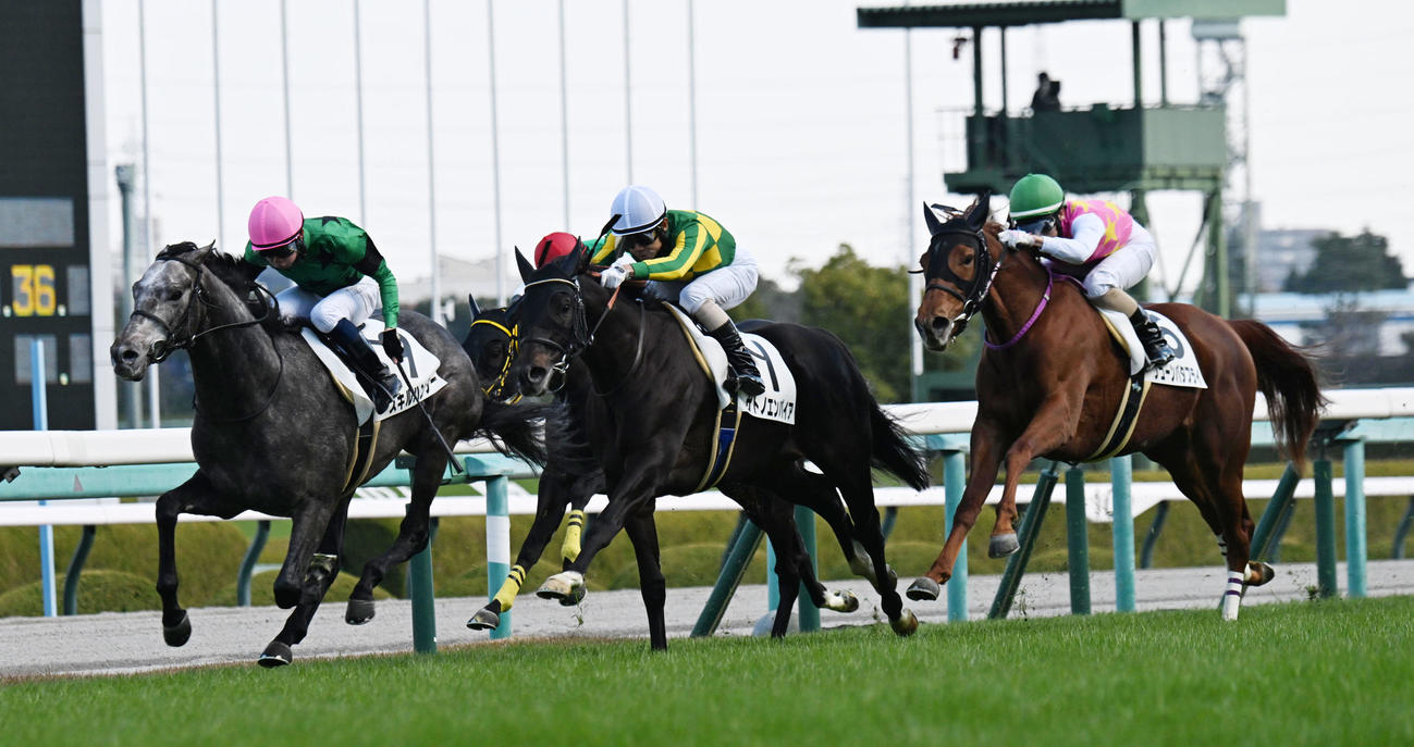 阪神5R新馬戦を制したサトノエンパイア（中央）（撮影・和賀正仁）