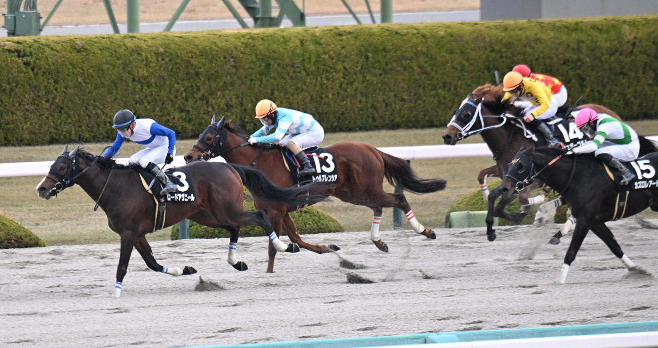 ゴール前で抜け出し豊中特別を制したロードアヴニール（撮影・和賀正仁）