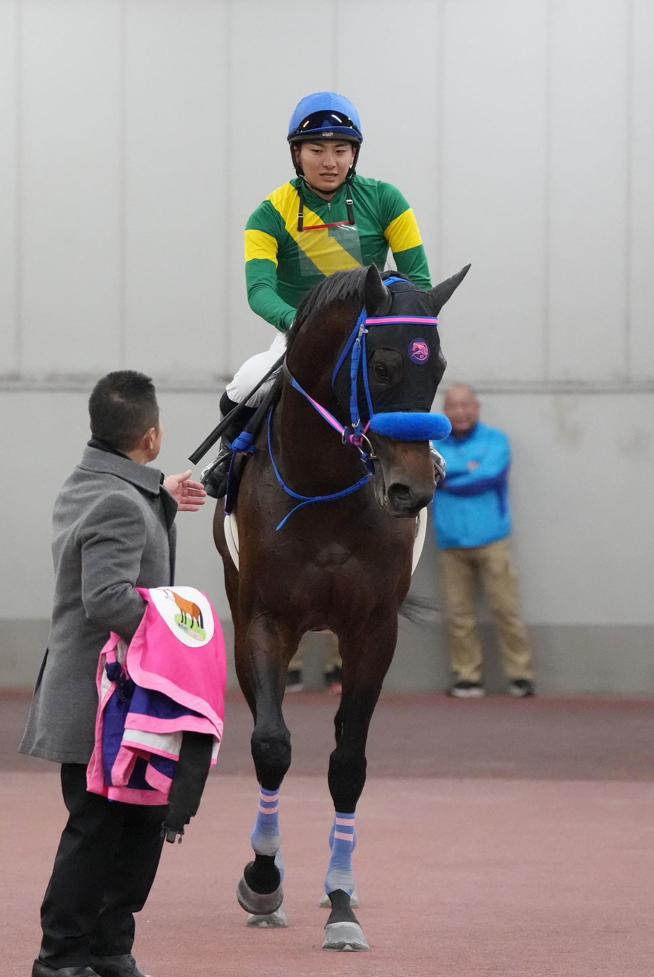 チャンピオンズC2着ウィルソンテソーロ（撮影・森本幸一）