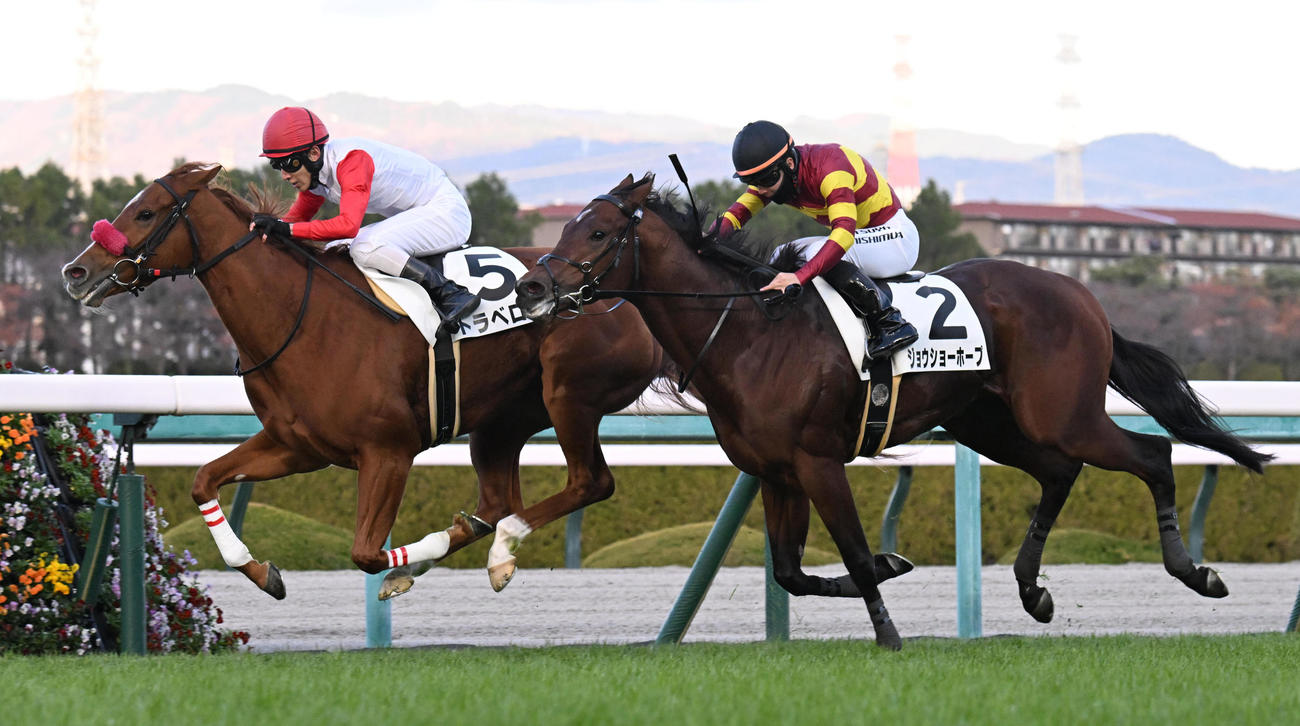 阪神12R、ジョウショーホープを抑え3歳以上2勝クラスに勝利するトラベログ（撮影・和賀正仁）