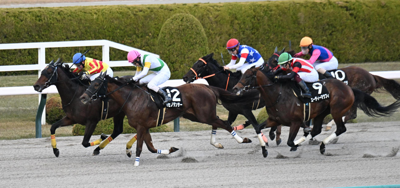 阪神11R、ギャラクシーSを制するマルモリスペシャル（左）（撮影・和賀正仁）