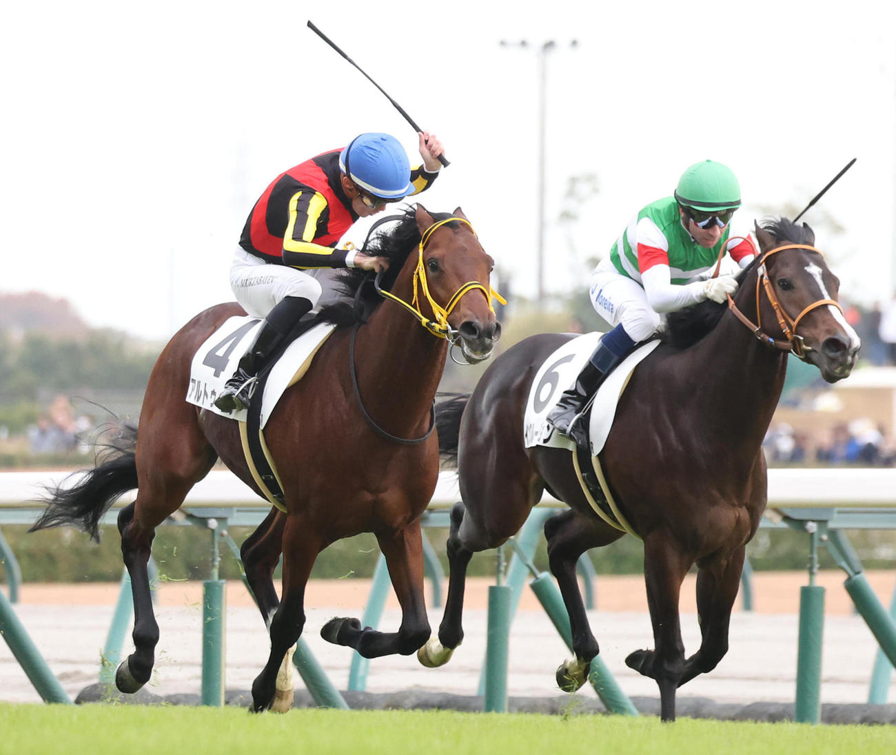 インクルージョン（右）との競り合いを制して新馬戦を勝利したアルトゥーム（撮影・白石智彦）