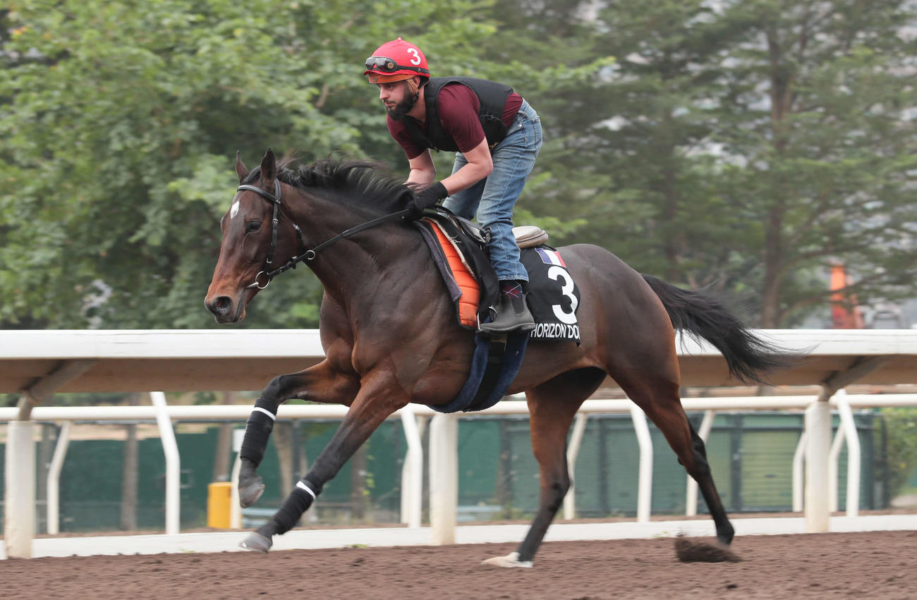 4日朝、香港カップに挑むオリゾンドレ（C）The Hong Kong Jockey Club