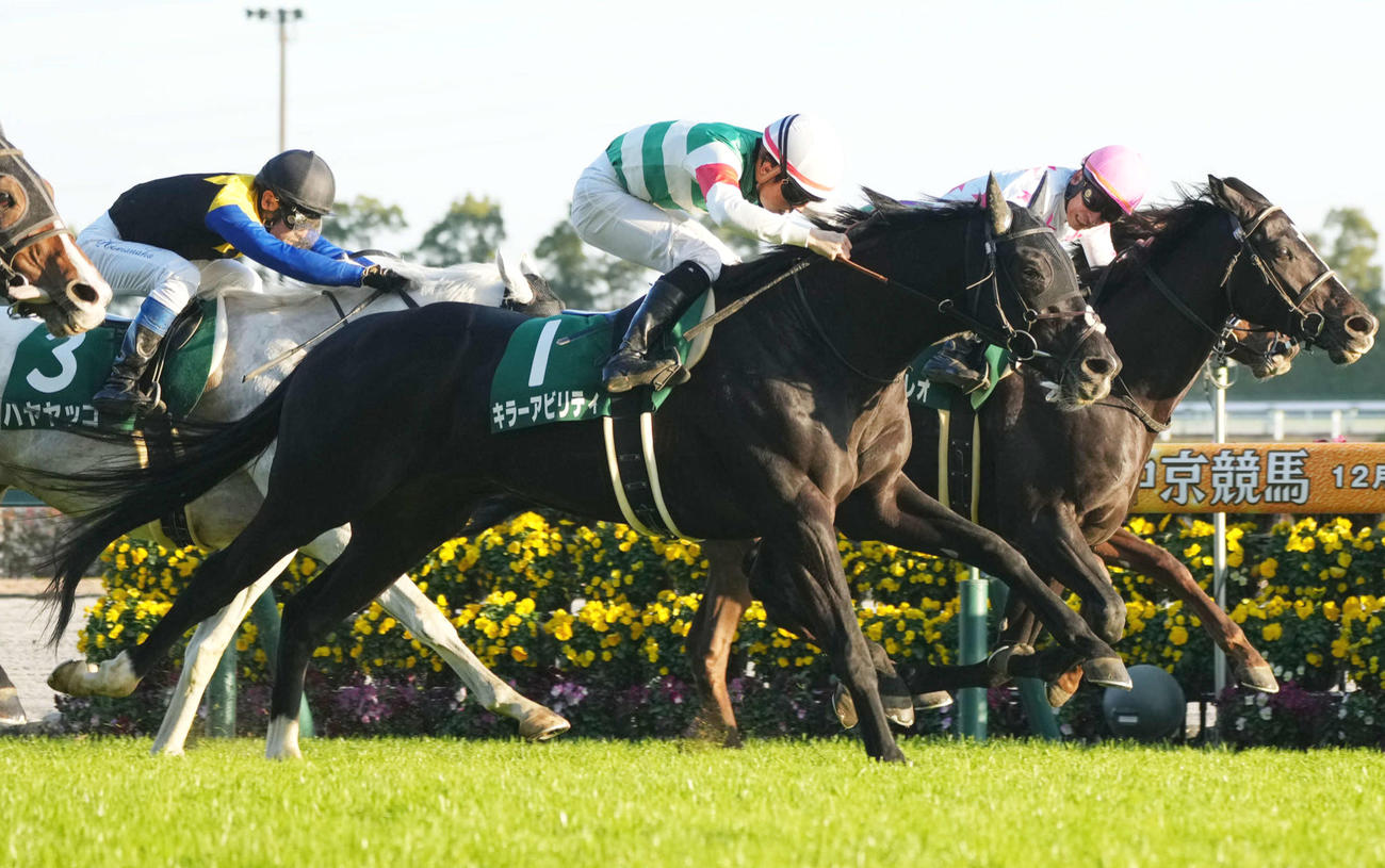 昨年の中日新聞杯を制したキラーアビリティ（手前）