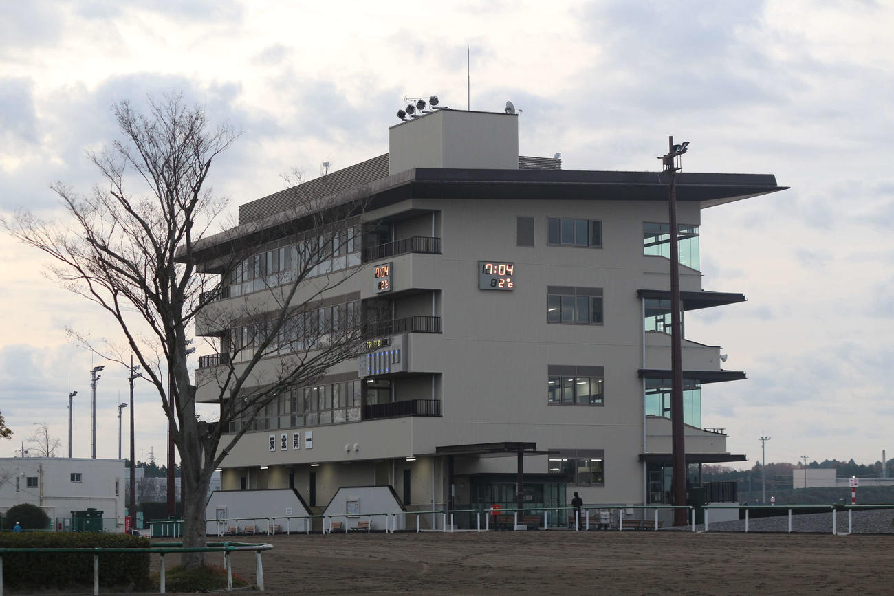 5日朝、馬場開場時刻直後の美浦トレセン南スタンド（撮影・木南友輔）