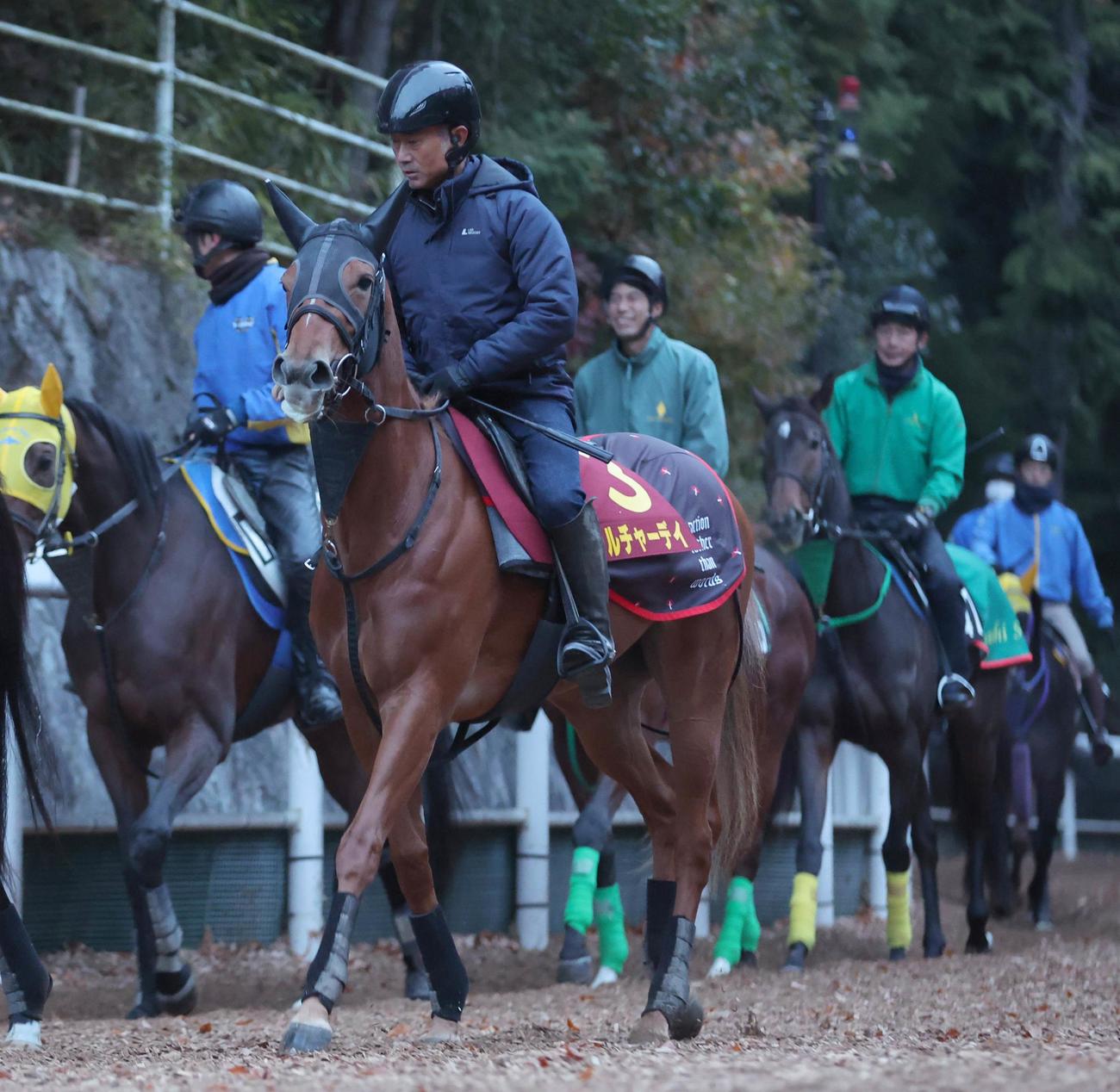逍遥馬道を運動するカルチャーデイ