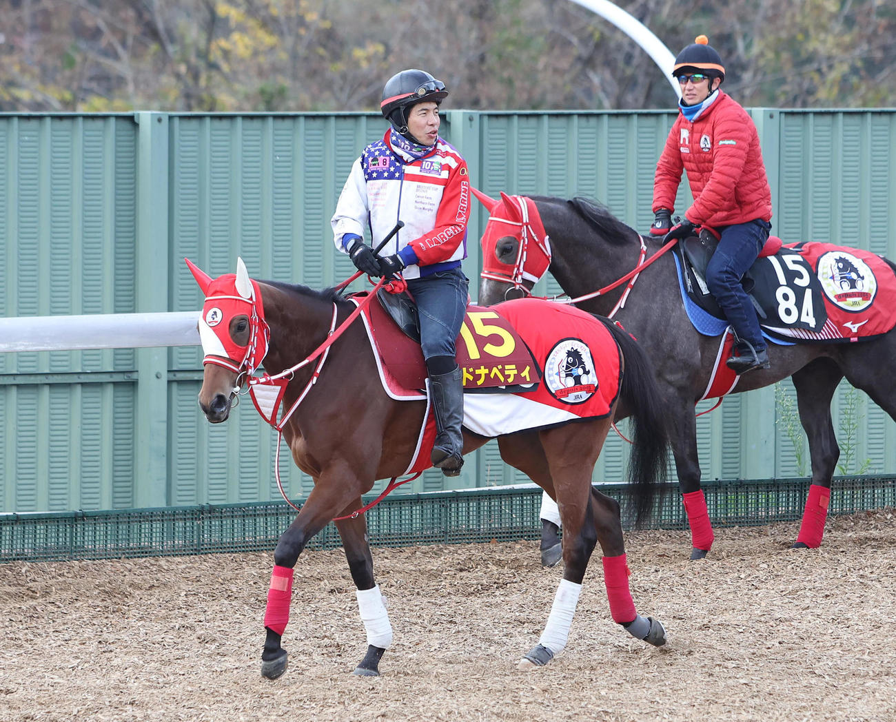 角馬場で運動するドナベティ（撮影・白石智彦）