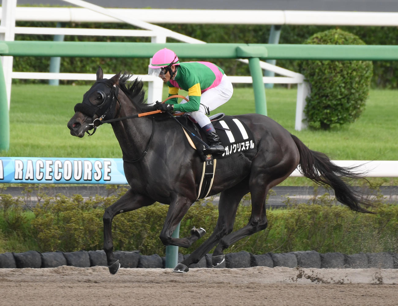 タガノクリステルと戸崎騎手（23年9月23日撮影）