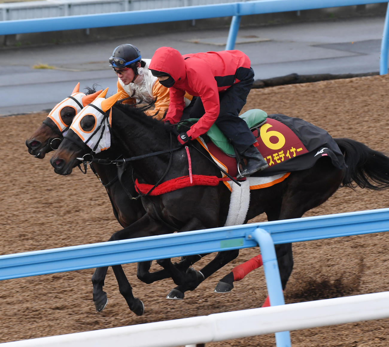 松岡騎手を背にコスモディナー（手前）はキョウエイスピールと併せて追い切る（撮影・柴田隆二）