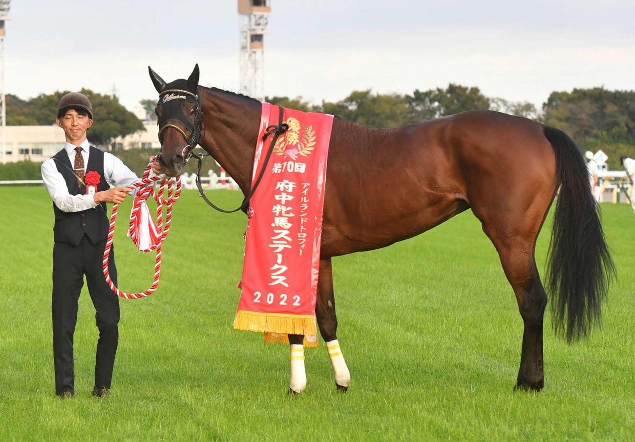 府中牝馬Sを制したイズジョーノキセキ（2022年10月15日撮影）