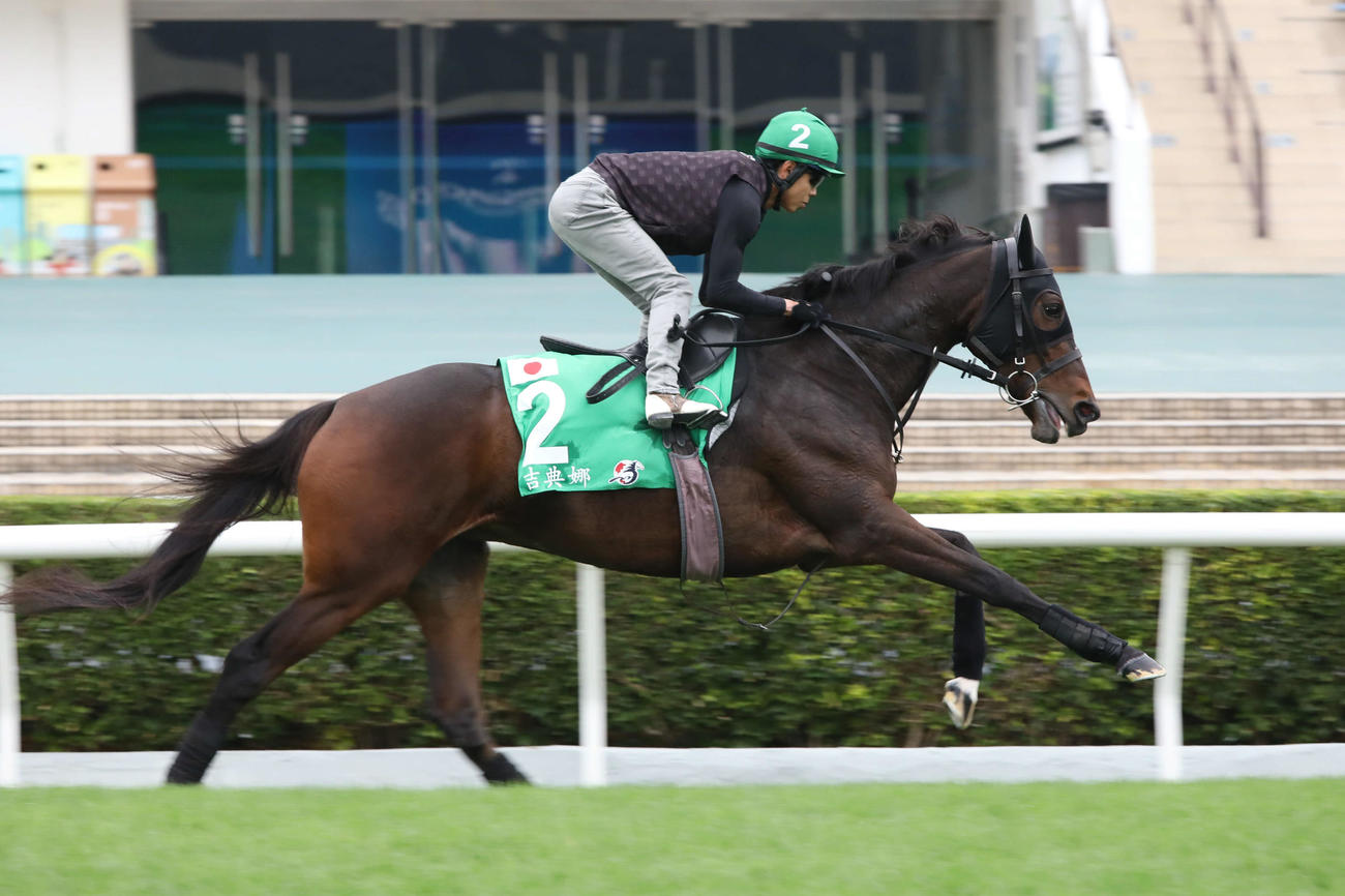 追い切られたジェラルディーナ（C）The Hong Kong Jockey Club
