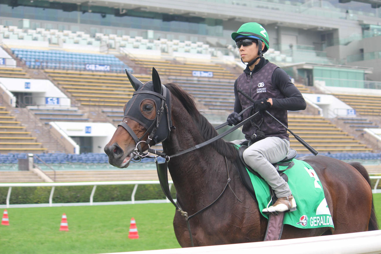 北村友騎手を背に最終追い切りを終えたジェラルディーナ