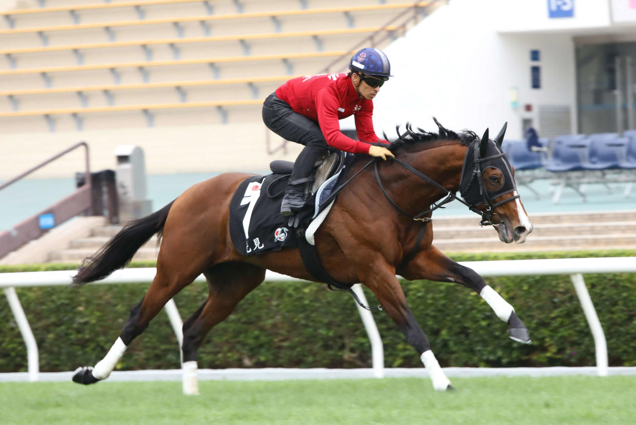 シャティン競馬場で追い切られたプログノーシス（C）The Hong Kong Jockey Club