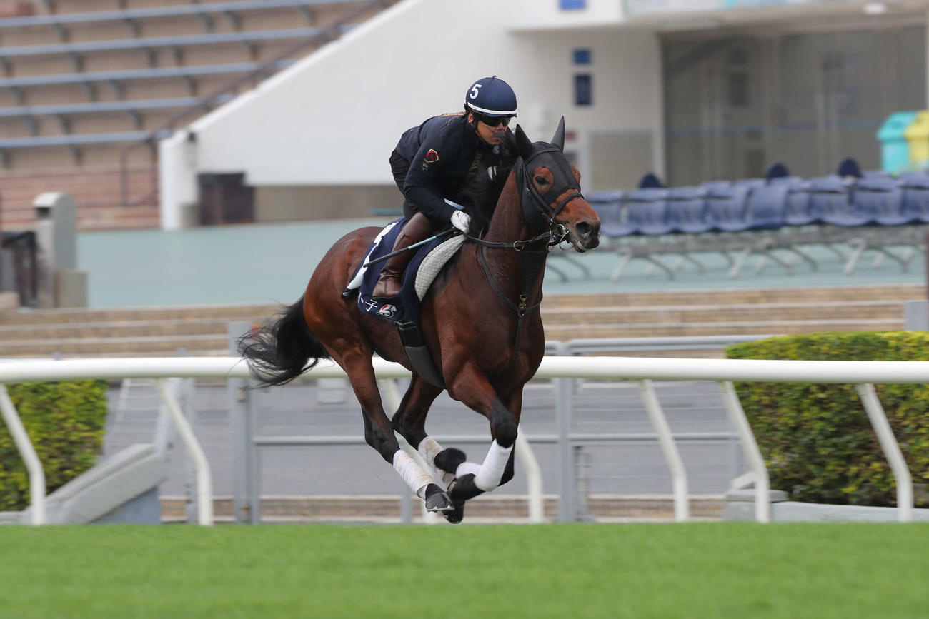シャティン競馬場で追い切られたダノンザキッド（C）The Hong Kong Jockey Club