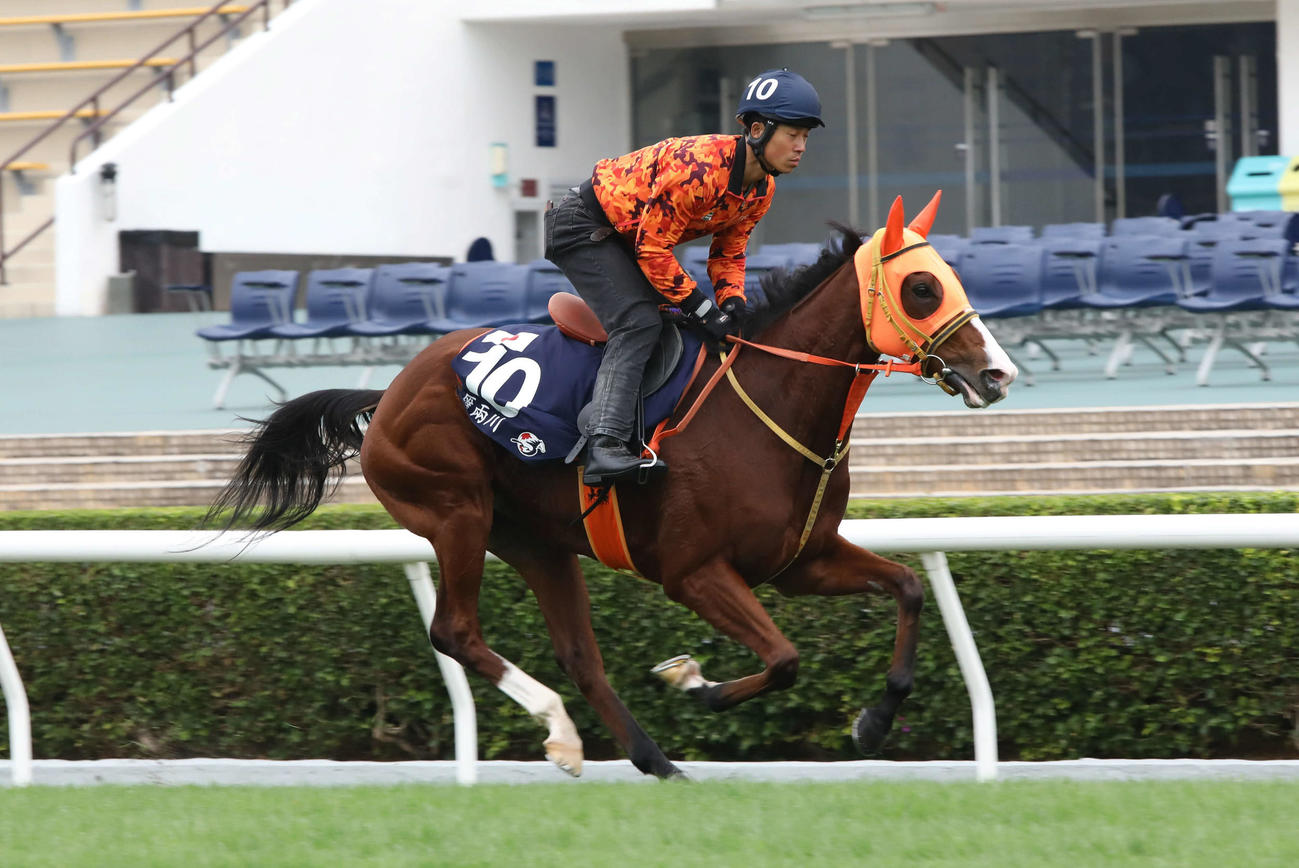 シャティン競馬場で追い切られたナミュール（C）The Hong Kong Jockey Club