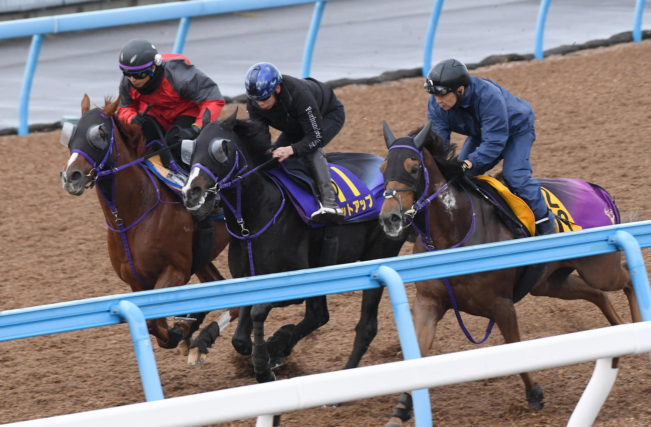 横山武騎手を背にセットアップ（中央）はヴィアメント（左）、ウインシュクランと併せて追い切る