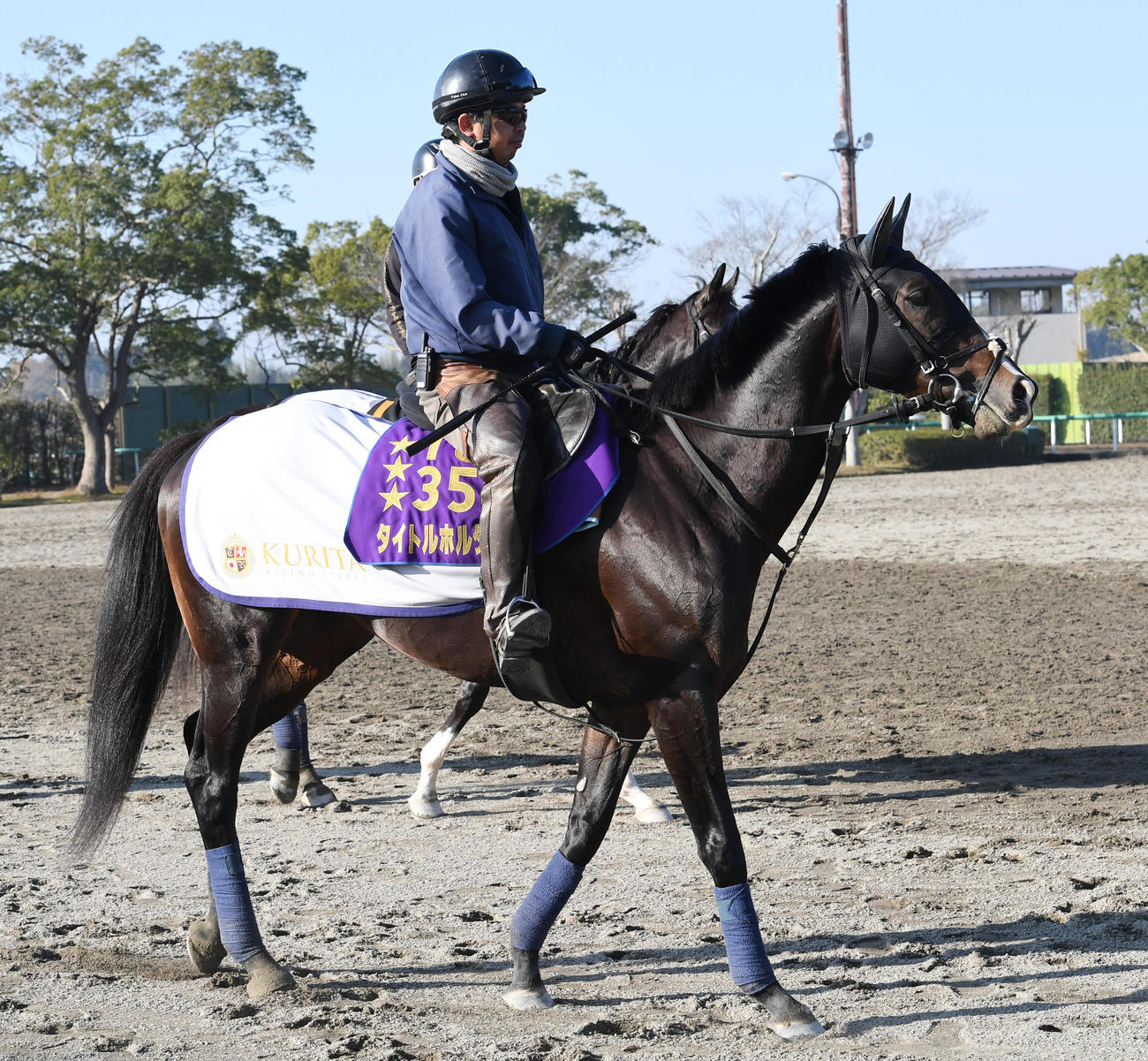 坂路で調整し引き揚げるタイトルホルダー（撮影・柴田隆二）