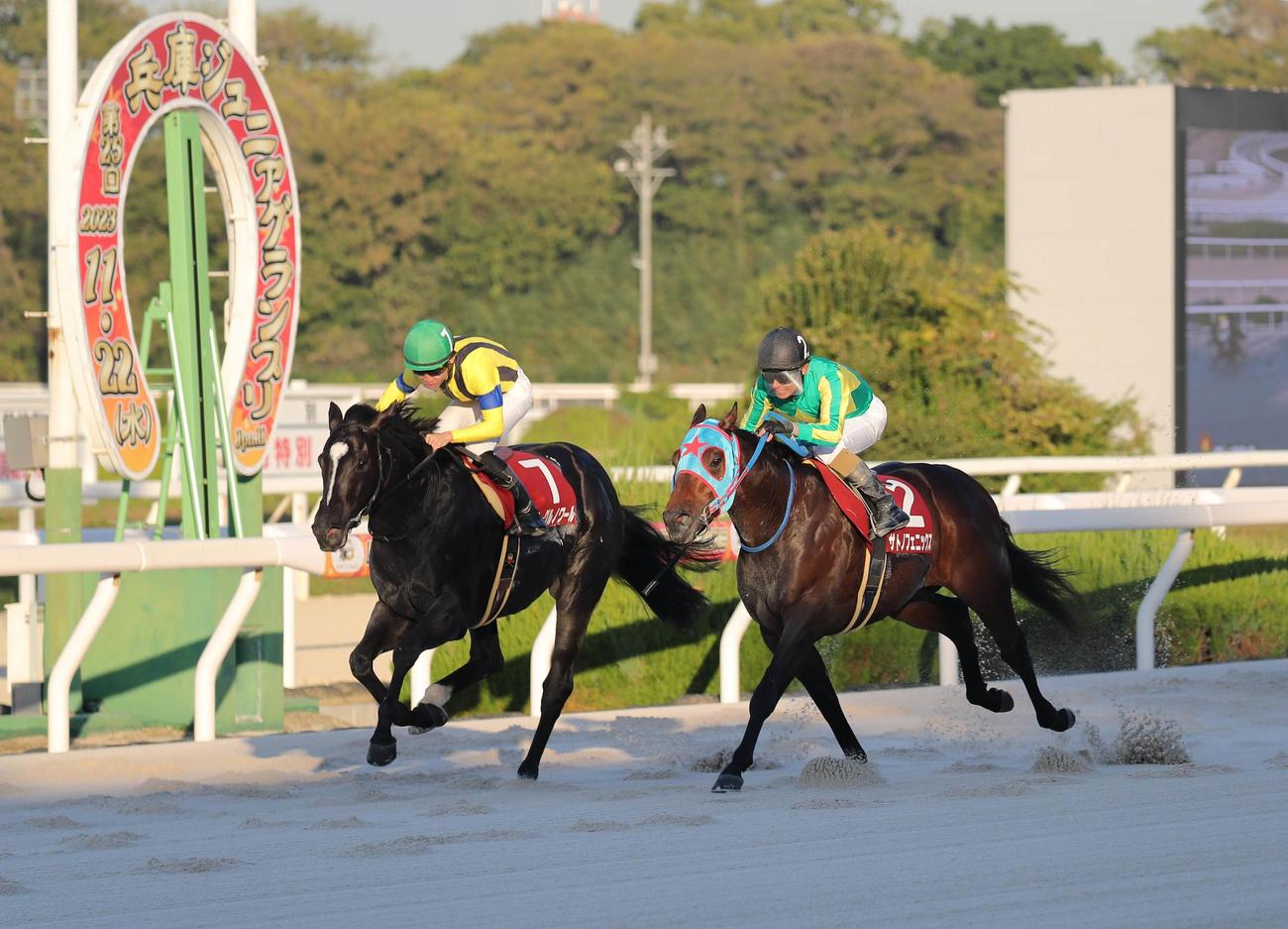 兵庫ジュニアグランプリを制したイーグルノワール（左）（2023年11月22日撮影）