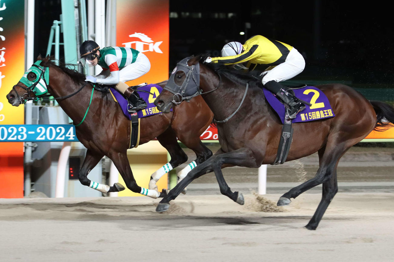 ライトウォーリア（左）を外から差し切り勝島王冠を制したサヨノネイチヤと西啓太騎手