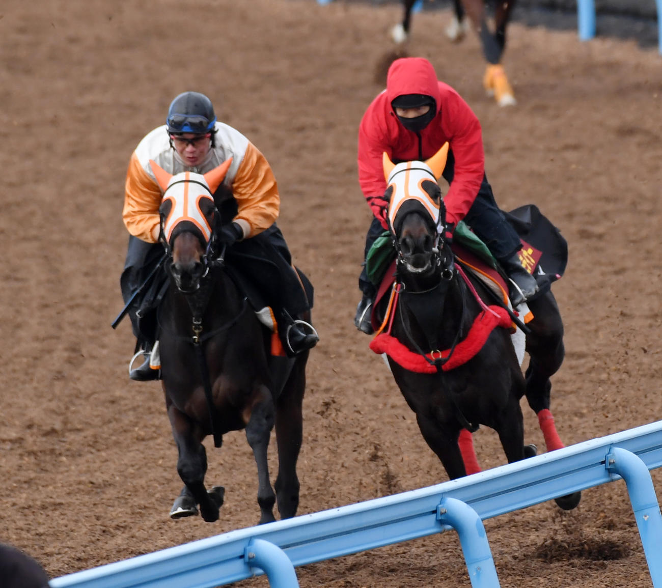 松岡騎手を背にコスモディナー（右）はキョウエイスピールと併せて追い切る（2023年12月6日撮影）