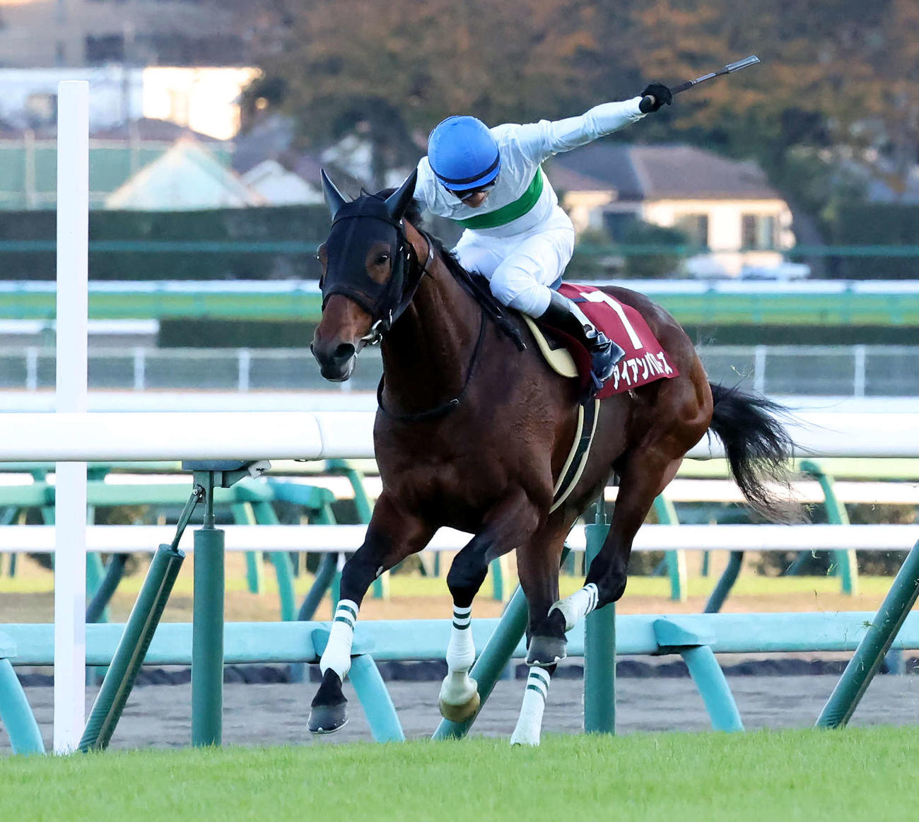 2日、ステイヤーズSを逃げ切ったアイアンバローズと石橋騎手