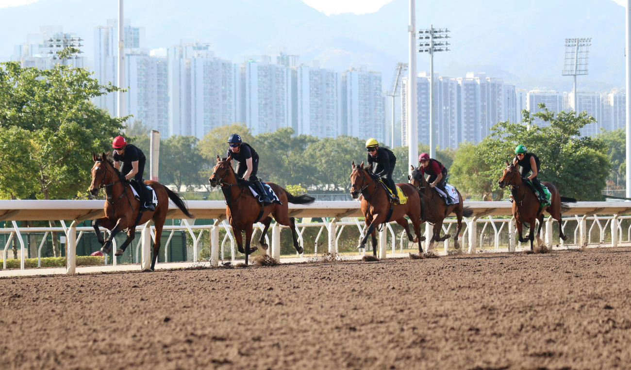 集団調教を行うオブライエン厩舎の馬たち。左がルクセンブルク（撮影・下村琴葉）